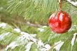 chirstmas bulb