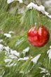 chirstmas bulb
