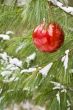 chirstmas bulb