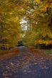 Mountain Road in Autumn