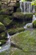 Stream in the Green