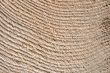 Wood Texture