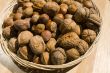 A basket of nuts