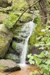 Stream in the Green