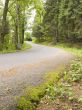 Mountain Road