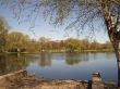 Early spring in a park