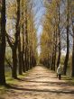 Early spring in a park