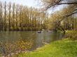 Early spring in a park