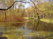 Early spring in a park