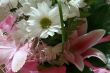 Bouquet of flowers