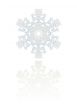 Snowflake Ornament