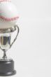Baseball Trophy