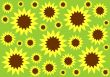 Floral Background