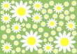 Floral Background