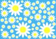 Floral Background