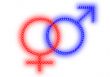 Male and Female