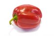 Red sweet bell pepper 1