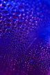 blue drops