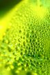 green drops