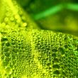 green drops