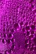 pink drops