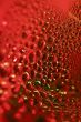 red drops
