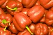 Red sweet bell peppers 7
