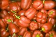 Red sweet bell peppers 6