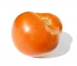 Big tomato