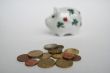 The piggy bank