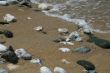 The sand on the beach