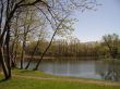 Early spring in a park