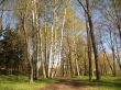 Early spring in a park