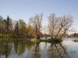 Early spring in a park