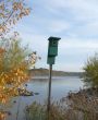 Green Birdhouse