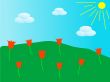 Meadow with tulips