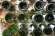 Wine Bottle and Glass