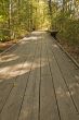 Board Trail