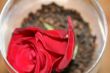 carnation and rose petal