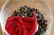 carnation and rose petal
