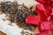 carnation and rose petal