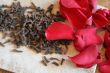 carnation and rose petal