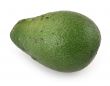 avocado fruit