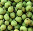 Apples