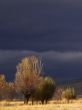 Sun in the Thunderstorm