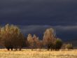 Sun in the Thunderstorm