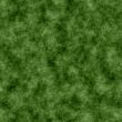 Moss Texture