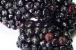 Macro close-up of blackberry 4