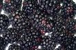 Heap of blackberries 1