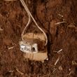 main light switch